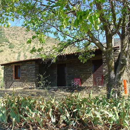 Vakantiehuis Terra D'alva