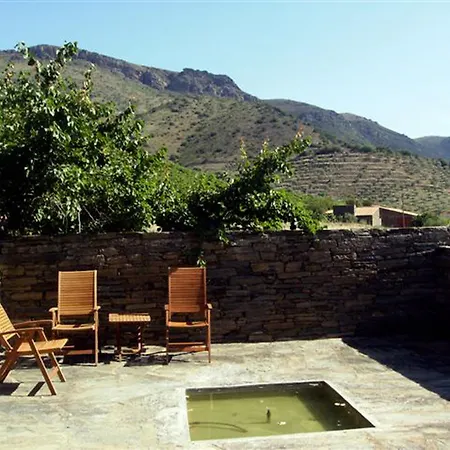Terra D'alva